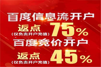 SEM专员案例：数据分析与优化