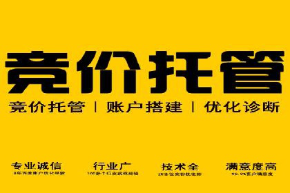 百度竞价推广的技巧与策略：某企业成功案例分享